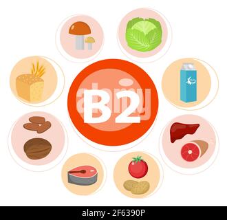Vitamins and Minerals foods Illustrator set 7.Vector set of vitamin rich foods. Vitamin B2-milk, egg, spinach, oysters, cheese, liver, mushrooms and Stock Vector