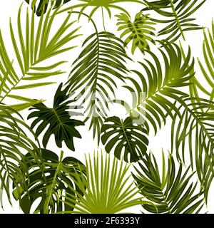 Vector seamless pattern of leaves monstera, flowers, tropical jungle leaves of palm tree background. Stock Vector