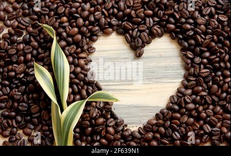 Coffee Beans in Heart Shape on top of the table stock photo Stock Photo