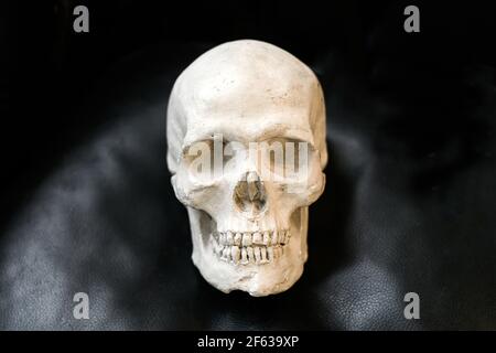 Old chipped and damaged plaster cast of a human skull on a black textured background with copyspace in an overhead view of the face Stock Photo