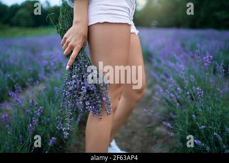 Side view of girl posing in lavender field, long aromatic rows. Crop of unrecognizable young woman wearing white shorts carrying bouquet of beautiful purple flowers. Concept of nature beauty. Stock Photo