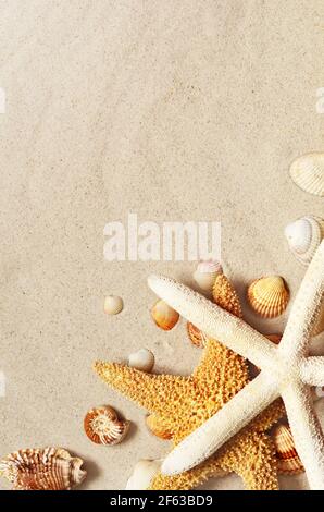 Starfish and seashells on the sandy beach. Summer background. Stock Photo