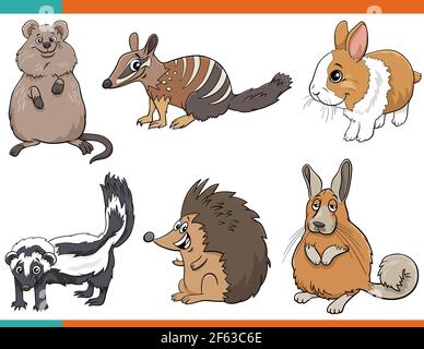 Cartoon illustration of funny mammals animals comic characters set Stock Vector