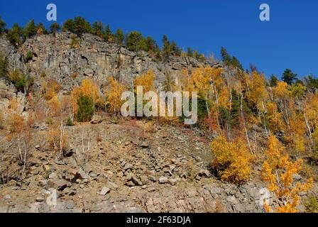 Golden trees and evergreens grow among the rocks near the rocky top of one of the Nor Western mountains on a blue sky day in fall. Stock Photo