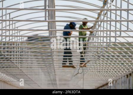 Workers working in greenhouse construction, not taking security measures in Turkey Stock Photo
