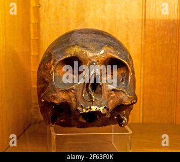Human skull on light brown background Stock Photo