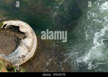 Italy, Lombardy, Single Vehicle Tyre Tire Abandoned in Water Stock Photo