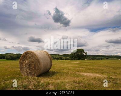 Heuballen am Elbvorland Stock Photo