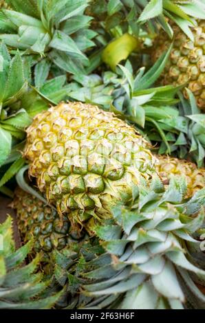 Close up picture of ripe pineapple on a local market, selective focus. Stock Photo