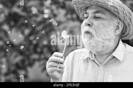 Allergic to pollen of flowers. cognitive impairment. Joy during early spring. old age and aging. spring village country. symbol of thin gray hair. old Stock Photo