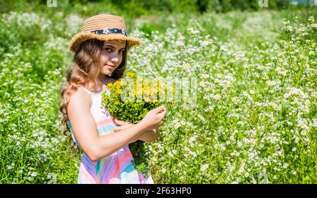 Happy girl collecting wildflowers sunny summer day, Harvesting Drying ...