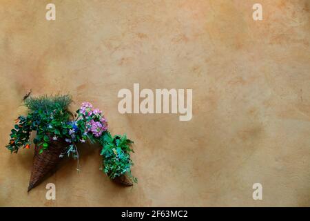 Flowers and plants pot made of Thatch hanging on a old Clay wall with a writing space. Stock Photo