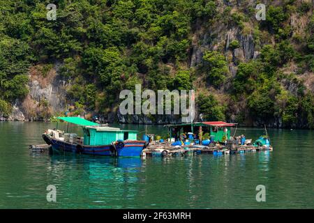 Floating Village and Fisher of the Halong Bay in Vietnam Stock Photo