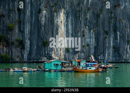 Floating Village and Fisher of the Halong Bay in Vietnam Stock Photo