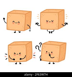 Cute funny happy brown cane sugar piece cube character set collection. Vector flat line cartoon kawaii character illustration icon. Isolated on white background. Sugar cube character bundle concept Stock Vector