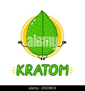 Cute funny kratom leaf meditate character logo design. Vector flat line cartoon kawaii character illustration icon. Isolated on white background. Kratom leaf character logo template concept Stock Vector