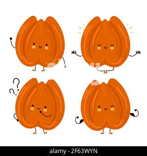 Cute funny pecan nut character set collection. Vector flat cartoon kawaii character illustration icon. Isolated on white background. Pecan nut character bundle concept Stock Vector