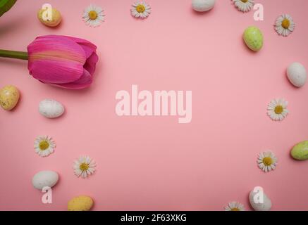 Colorful Easter eggs and flower on pink background. Spring holidays concept Stock Photo
