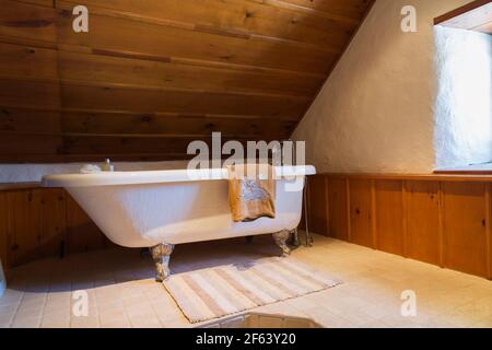 White antique claw foot soaking tub  on raised beige ceramic tile base in main bathroom with stained pine wood ceiling and wainscotting Stock Photo