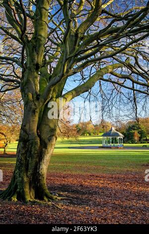 UK,South Yorkshire,Barnsley,Locke Park Bandstand