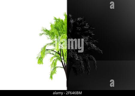 3d illustration of realistic green decorative tree, divided into black and green parts. The symbol of a wondrous and dying tree. Stylized deciduous tr Stock Photo
