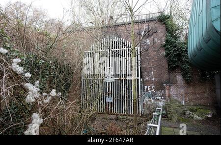 Hamburg, Germany. 29th Mar, 2021. The south portal of the Schellfischtunnel is overgrown with plants. The CDU in Hamburg's parliament wants the Schellfischtunnel to be accessible again for the people of Hamburg. (to dpa 'CDU wants to make Schellfischtunnel accessible for Hamburgers again') Credit: Daniel Reinhardt/dpa/Alamy Live News Stock Photo