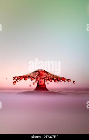 Moment of water drops colliding on pink background. Abstract natural background Stock Photo