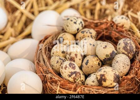 happy easter decoration with eggs, holiday Stock Photo