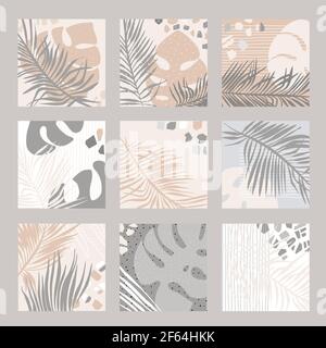 Set of tropical square templates for social media posts. Doodle style Vector illustration Stock Vector