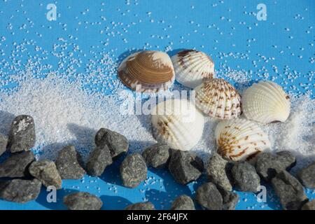 top view of textured background with sand and shells on blue paper like clear water Stock Photo