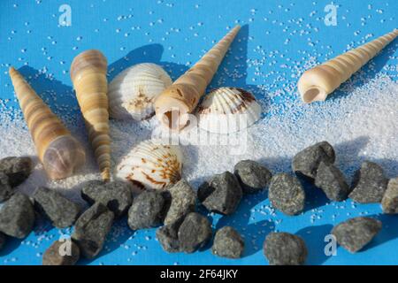 summer vacation composition with seashells and sand and stones on blue Stock Photo
