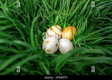 elegant gold white shiny eater eggs hiding in the big green grass . Stock Photo