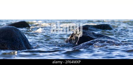Baltic sea stone shore, Estonia, Viimsi. View over Baltic sea with stones to beautiful sea and sunset Stock Photo