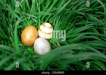 elegant gold white shiny eater eggs hiding in the big green grass . Stock Photo