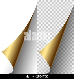 Vector golden metallic realistic paper page corner curled up. Paper sheet folded with soft shadows on light transparent background. 3d illustration. T Stock Vector
