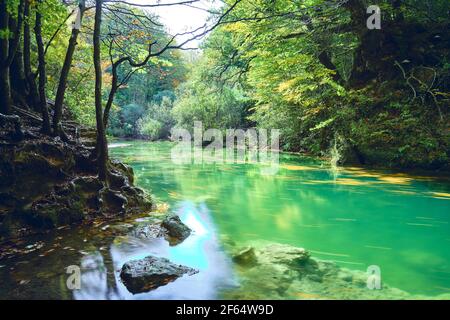 Trees and riverbed with fallen leaves in autumn. Stock Photo