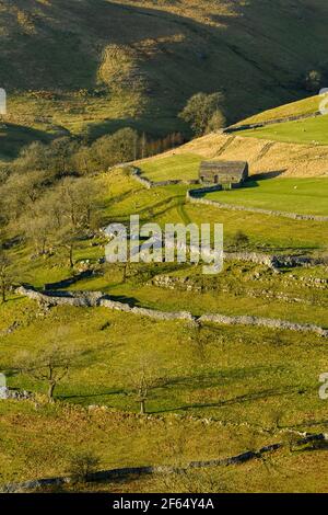 Scenic sunny Wharfedale landscape (upland fells, stone barn, steep hillside, limestone walls, sheep grazing pastures) - Yorkshire Dales, England, UK.