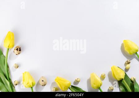 Colorful easter quail eggs and tulips on white background . Flat lay. Spring composition. Happy easter greeting card. Stock Photo