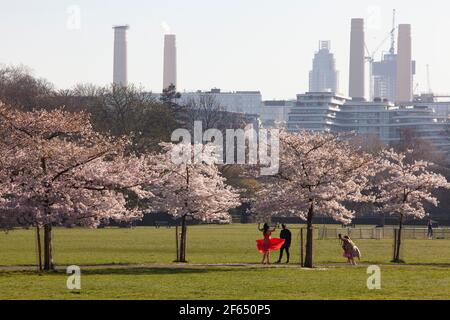 UK weather, London, 30 March 2021: In Battersea Park the blossom on an avenue of cherry trees attracts dog walkers, coffee drinkers, joggers and Instagrammers. Anna Watson/Alamy Live News Stock Photo