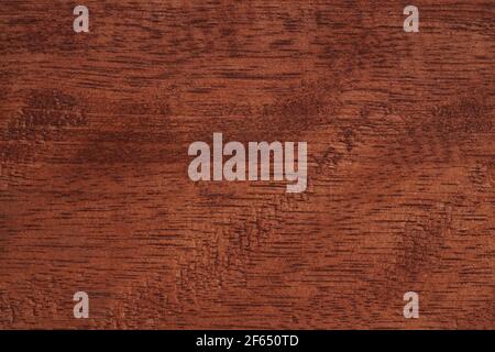 Old painted wood wall dark brown texture High quality background made of dark natural wood in grunge style. copy space for your design or text. Horizo Stock Photo