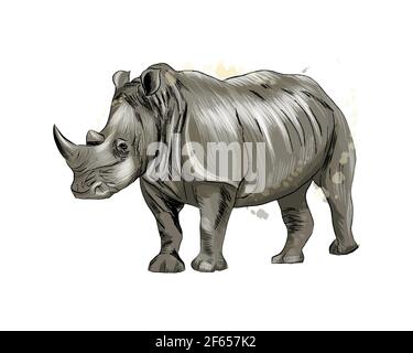 Rhinoceros from a splash of watercolor, colored drawing, realistic. Vector illustration of paints Stock Vector