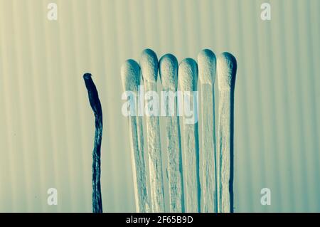 matchsticks unlit  and one lit, groups and single concept, individual versus plural, society, danger, distancing, one and many. Stock Photo