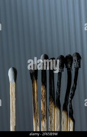 Single unlit matchstick near others lit, groups versus single concept, individual versus plural, society, abstract about one and many Stock Photo