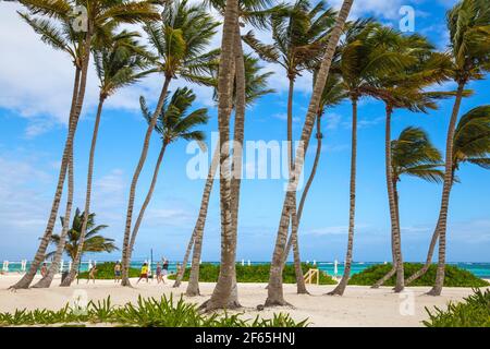 Dominican Republic, Punta Cana, Playa Blanca Stock Photo