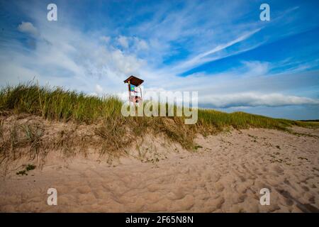 Baltic sea, Estonia, Saaremaa. Safety ring on the beach. Short green and yellow grass and spikelets. On blue sky with clouds and jet trails. Stock Photo