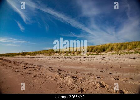 Beach of the Baltic sea. Trails on brown sand. Short green and yellow grass on skyline. Blue sky with clouds and jet trails (jet traces). Estonia, Saa Stock Photo