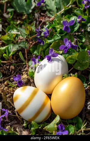 elegant gold white shiny eater eggs on the ground with many violet flowers . Stock Photo