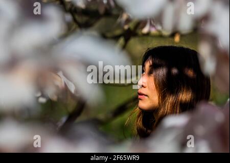 London, UK. 30th Mar, 2021. Spring sun in Kew gardens with the magnolia Blossom out. Credit: Guy Bell/Alamy Live News
