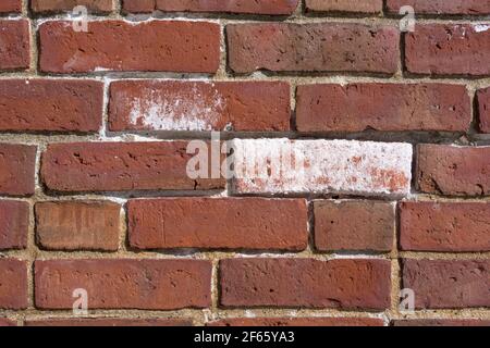 Close view of a brick wall with one brick covered with white paint and another with brush marks in morning light. Stock Photo