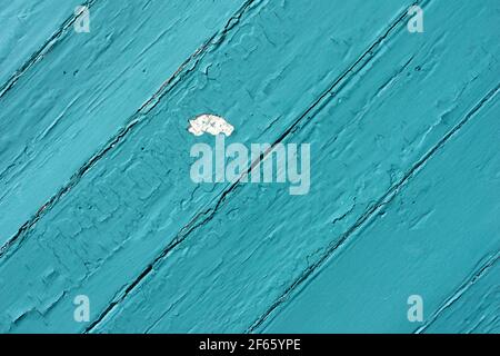 Close view of a section of paint peeled off a board of an old shed wall in the early morning light. Stock Photo